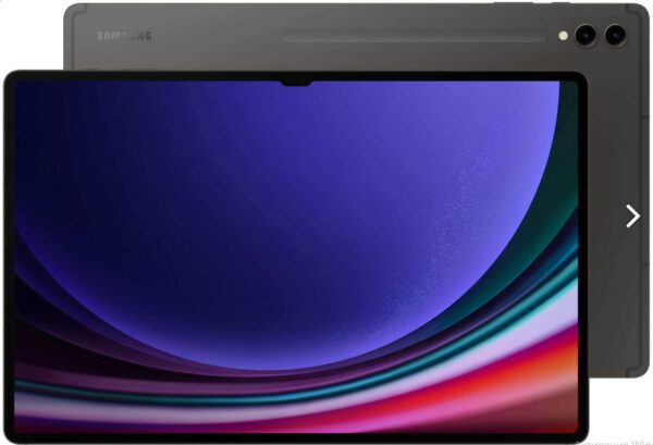 Планшет Samsung Galaxy Tab S9 Ultra 5G SM-X916 16GB/1TB (графитовый)