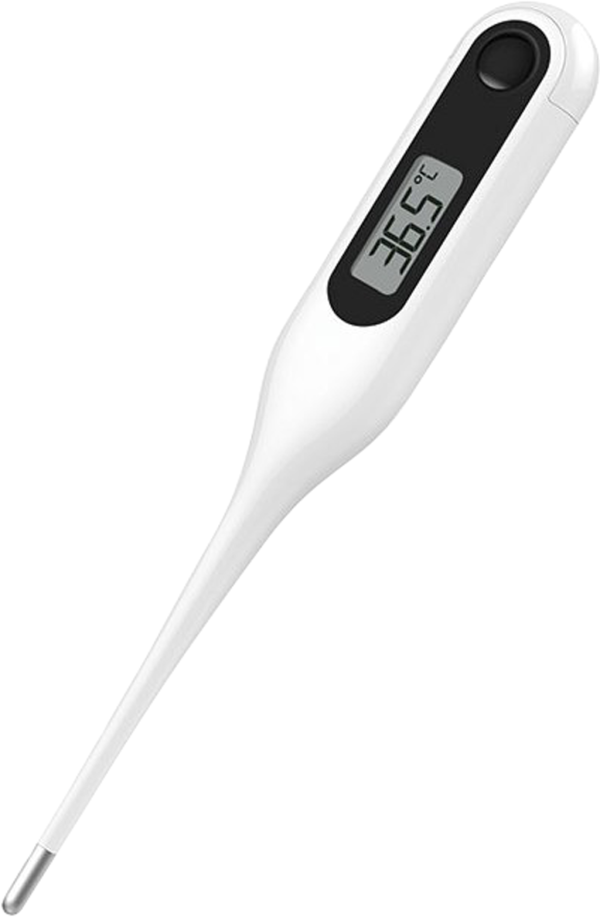 Медицинский термометр Digital Medical Thermometer